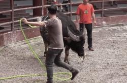 开云体育入口-关于激烈对抗让人目不转睛，比赛如此紧凑刺激！的信息