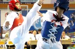 开云下载-瑞士击剑选手精湛技艺夺金，实力惊人